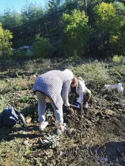 She could. Marmaris. Turkey. 12.17.23 Working moments on tree planting in the vicinity of Marmaris