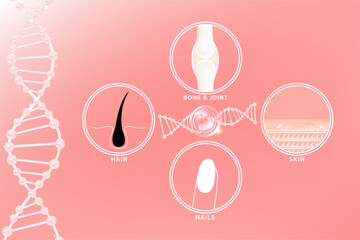 Hyaluronic acid skin hair nails bone and joint solutions ad, pink collagen serum drop with cosmetic advertising background ready to use, illustration vector.