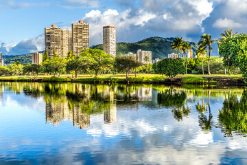 Colorful Green Trees Buildings Ala Wai Canal Reflection Honolulu Hawaii
