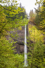 Latourell Falls along the Columbia River Gorge, Oregon