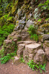 Latourell Falls along the Columbia River Gorge, Oregon