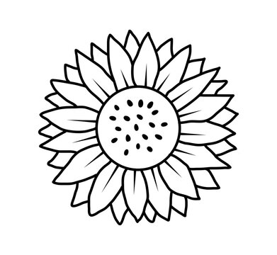 hand drawn black and white sunflower icon on white background