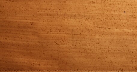 Obraz premium Versatile and Minimalistic Cork Surface Background