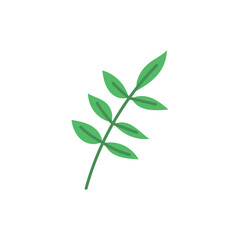 Twig with leaves, green foliage, plant summer season, vector zero waste herbal symbol, Eco friendly botanical leaf