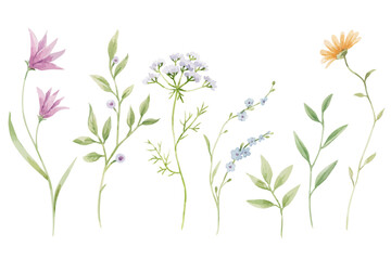 Fototapeta na wymiar Beautiful vector set with hand drawn watercolor summer flowers. Stock clipart illustration.