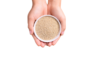 Brown quinoa seed in a bowl holding by hand, Top view