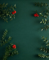 Christmas flowers on isolated green background