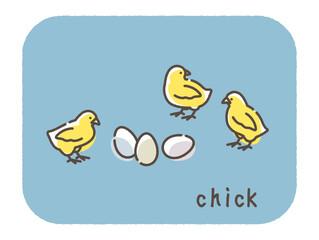 ひよことたまご　イラスト