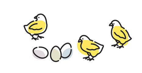 ひよこ　イラスト © DESIGN ARTS