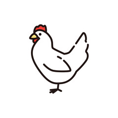 ニワトリ　鶏　鶏肉　イラスト