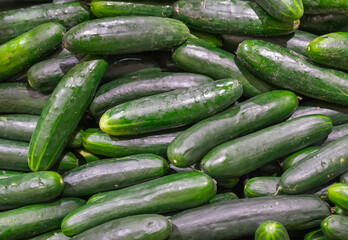 top view on cucumber as food background