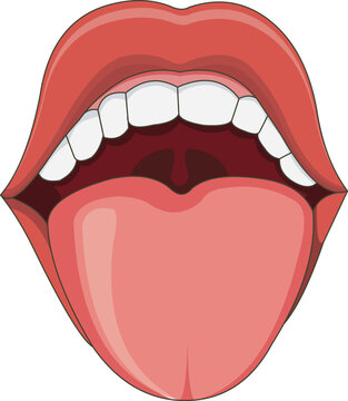 Tongue and teeth vector illustration