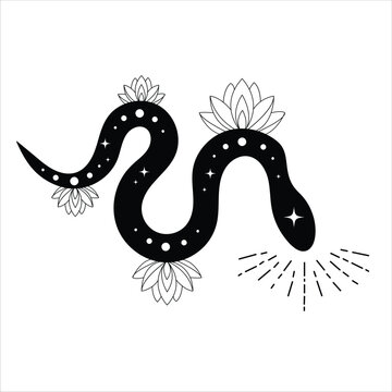 Vector snake set of mystical magic objects- moon, eyes, constellations, sun and stars.Print ready vector design for Tshirt, Mug and printing item. bundle design  .Black and white view.