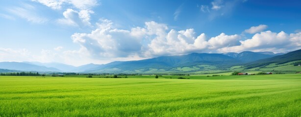 Fototapeta na wymiar Serene Green Field with Distant Mountains and Blue Sky