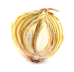 Half of a rotten onion isolated on a white background. Rotten and moldy onions.