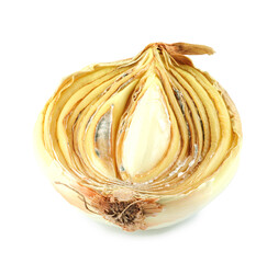 Half of a rotten onion isolated on a white background. Rotten and moldy onions.
