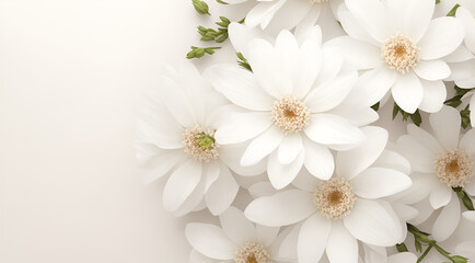 White Flowers on White Background. romantic themes, greeting card