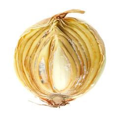 Half of a rotten onion isolated on a white background. Rotten and moldy onions.
