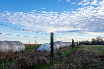 Hayfield with wrapped bales along fenceline