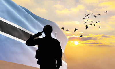 Silhouette of a soldier with the Botswana flag stands against the background of a sunset or...