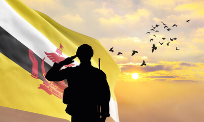 Silhouette of a soldier with the Brunei flag stands against the background of a sunset or sunrise....