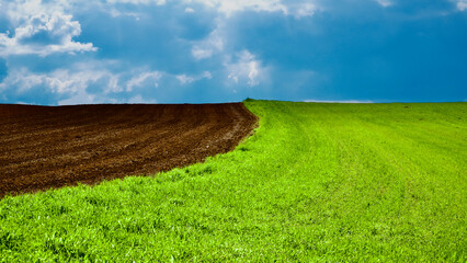 Harmony of colors in nature. Green fields, plowed land and cloudy blue sky. Green crops and field...