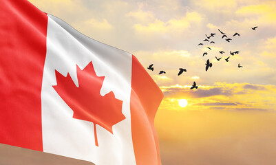 Waving flag of Canada against the background of a sunset or sunrise. Canada flag for Independence Day. The symbol of the state on wavy fabric. - obrazy, fototapety, plakaty