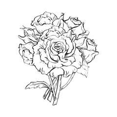 Ink: Bouquet of Roses. A lush, fragrant arrangement for weddings and birthdays. Delicate buds and blooming roses complemented by thorns on stems and vibrant leaves from the rose bush.