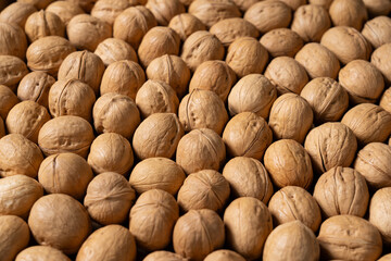 closeup of ripe walnuts texture background. 