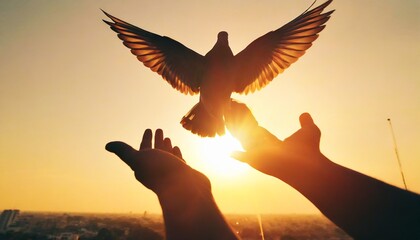 Silhouette pigeon return coming to hands in air vibrant sunlight sunset sunrise background. Freedom making merit concept - obrazy, fototapety, plakaty