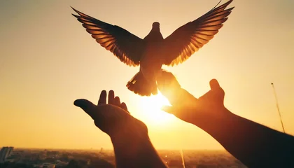 Foto op Plexiglas Silhouette pigeon return coming to hands in air vibrant sunlight sunset sunrise background. Freedom making merit concept © Marko