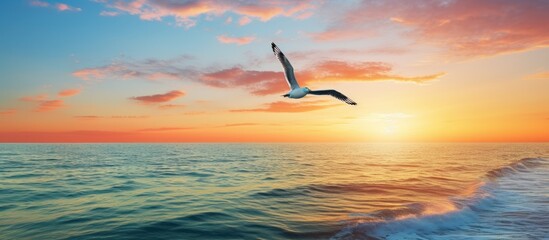 Lone seagull soaring over sunset ocean with colorful sky. - Powered by Adobe
