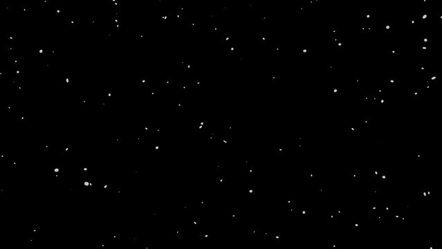普通に降る雪の動画、4kループアニメーションビデオ　背景透過のアルファチャンネル付き