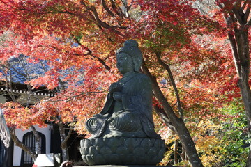 鎌倉・長谷寺。紅葉を背にした釈迦如来。