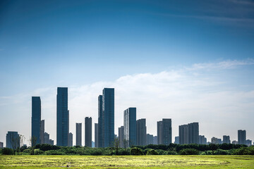 Fototapeta na wymiar Urban high-rise buildings behind the lawn