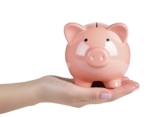 Pig pig piggy bank on outstretched hand on transparent background PNG