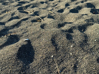 大きな海に波が打ち寄せ、青い大空と太陽と夕日が混ざり合い、高台から見下ろす実写写真