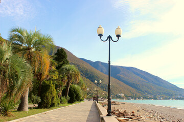 Embankment by the sea in an old park. Gagra, Abkhazia