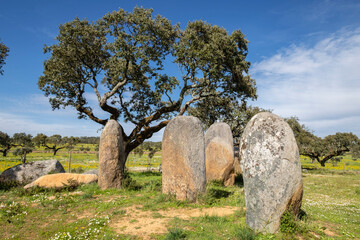 cromlech Vale Maria do Meio , Nossa Senhora da Graça do Divor ,Évora, Alentejo, Portugal © Tolo