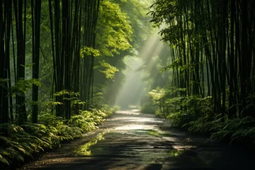 Deurstickers Dense bamboo forest with sunlight filtering through, Generative AI  © Shooting Star Std