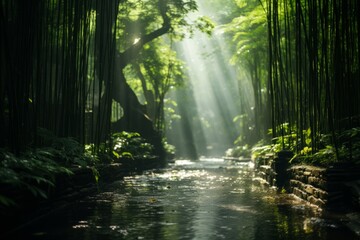 Fototapeta na wymiar Dense bamboo forest with sunlight filtering through, Generative AI 