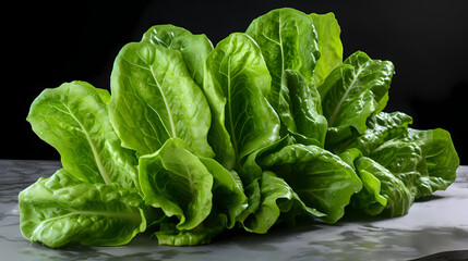 Freshness Redefined: Crisp Green Lettuce