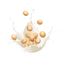 Soybeans with milk splashing