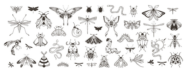 Mystical celestial beetles, moth and butterfly clipart bundle, magic black and white insects silhouettes in vector, unreal hand drawn night moth, isolated elements set