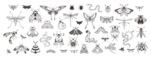Foto op Plexiglas Mystical celestial beetles, moth and butterfly clipart bundle, magic black and white insects silhouettes in vector, unreal hand drawn night moth, isolated elements set © Maria Zamchiy 