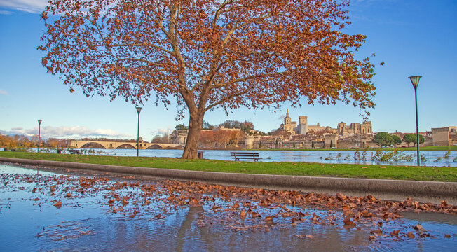 Vue sur Avignon en automne et inondation du Rhône.