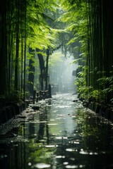 Dense bamboo forest with sunlight filtering through, Generative AI