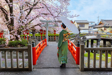 traditional, cute, girl, woman, kimono girl, kimono, architecture, asia, asian, beautiful, bloom, buddha, cherry blossom, colorful, destination, flower, full bloom, garden, gate, hanami, holy, japan, 