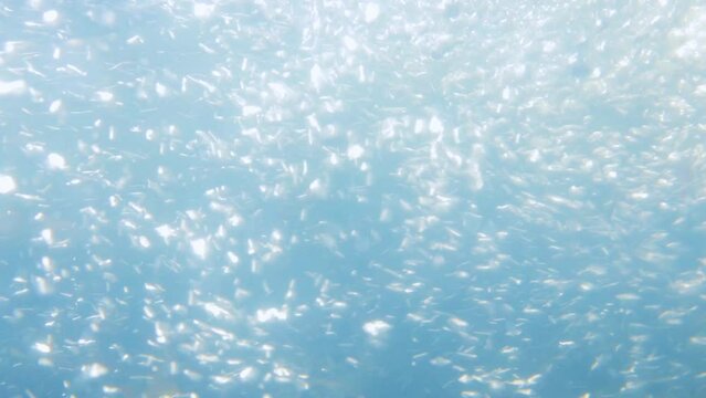 Tiny air bubbles underwater