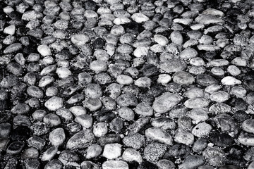 Round stones in the ground